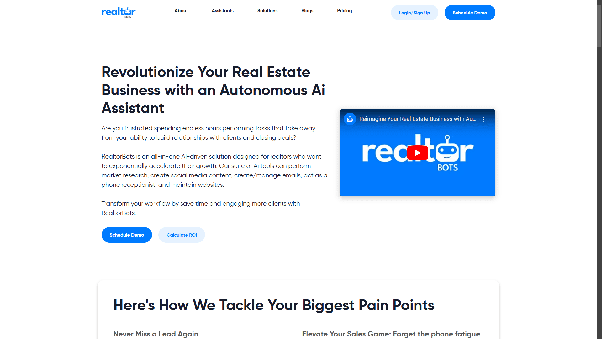 projectImg